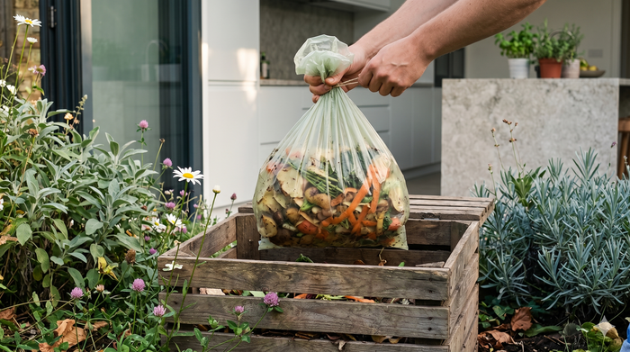 Compostable Bags