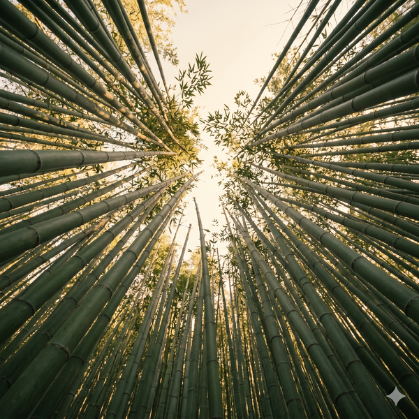 Fastest-growing plant